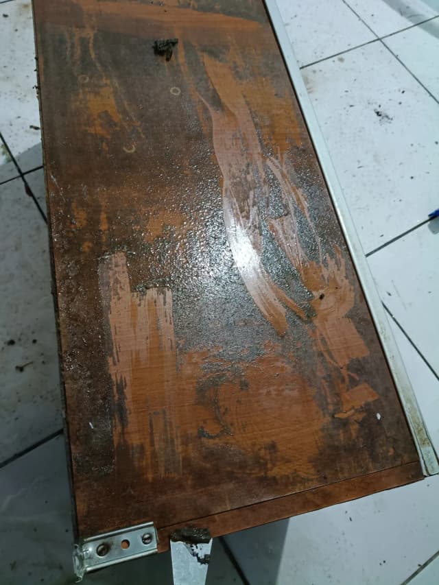 Mais fotos de Giovana - imagem 6